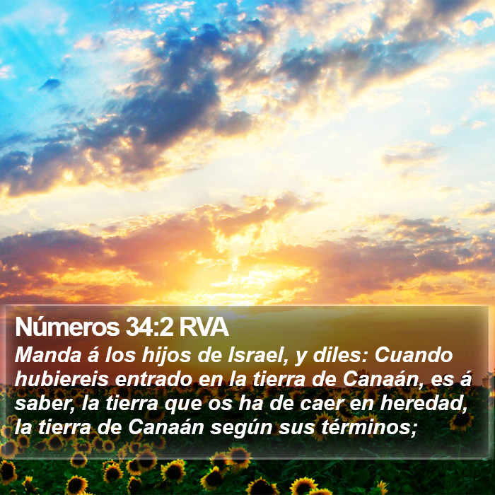 Números 34:2 RVA Bible Study