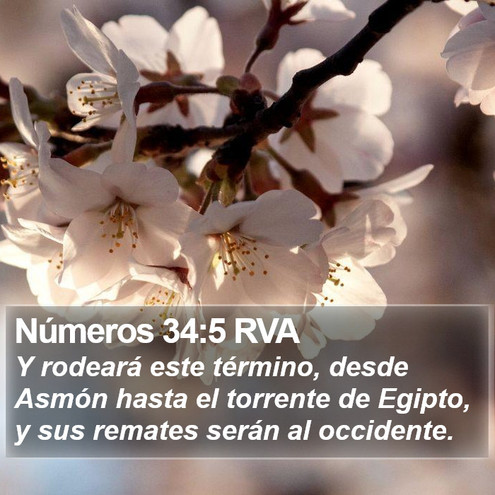 Números 34:5 RVA Bible Study