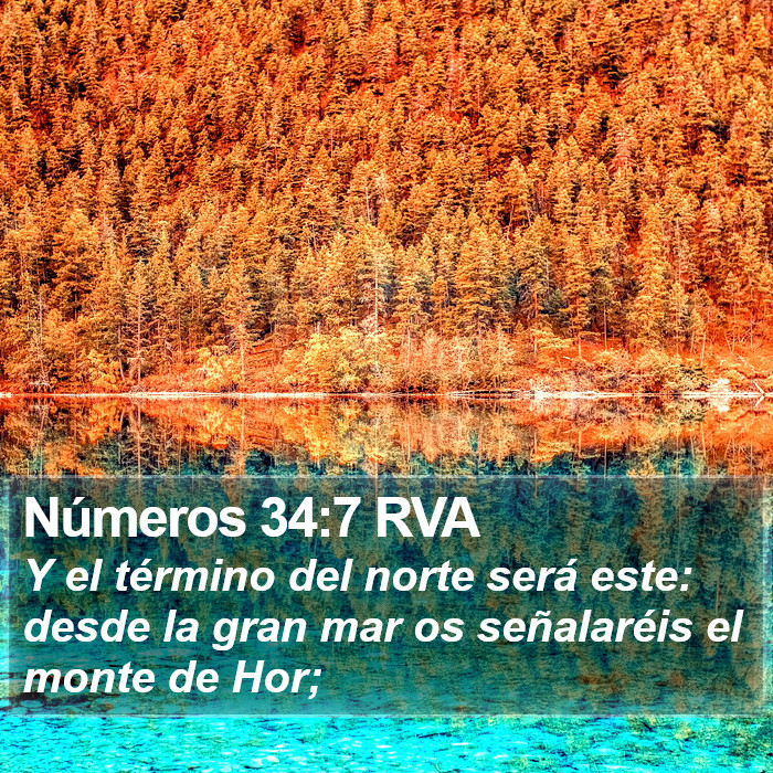 Números 34:7 RVA Bible Study