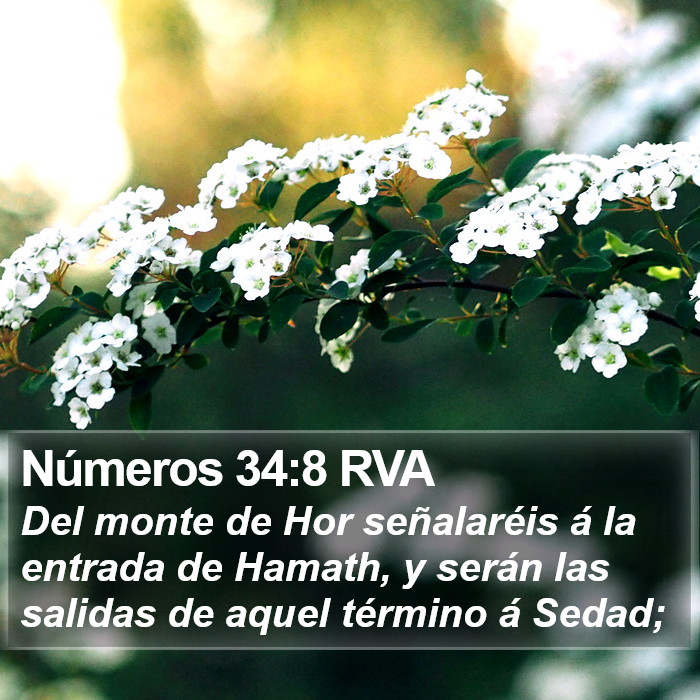 Números 34:8 RVA Bible Study