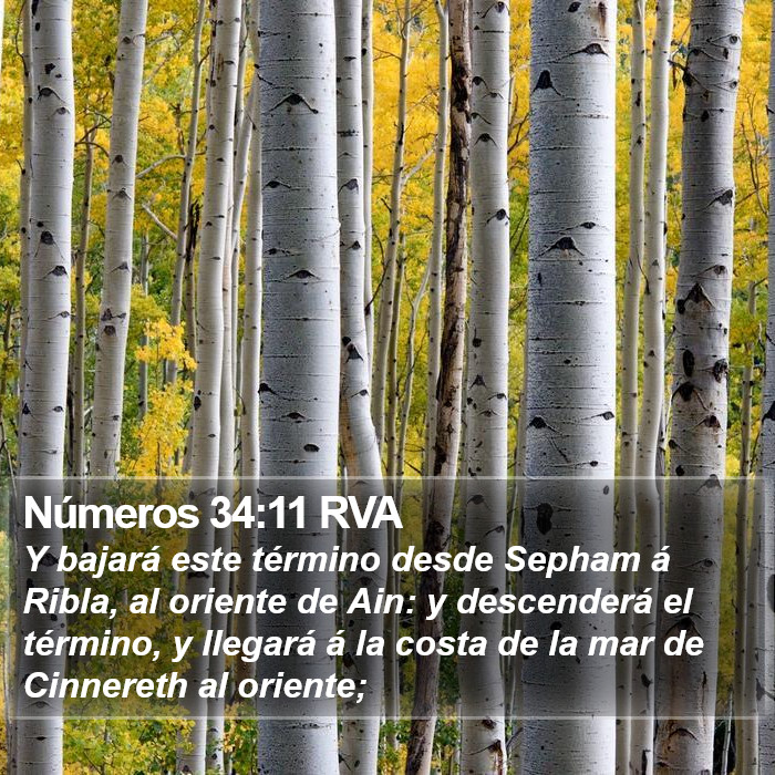 Números 34:11 RVA Bible Study