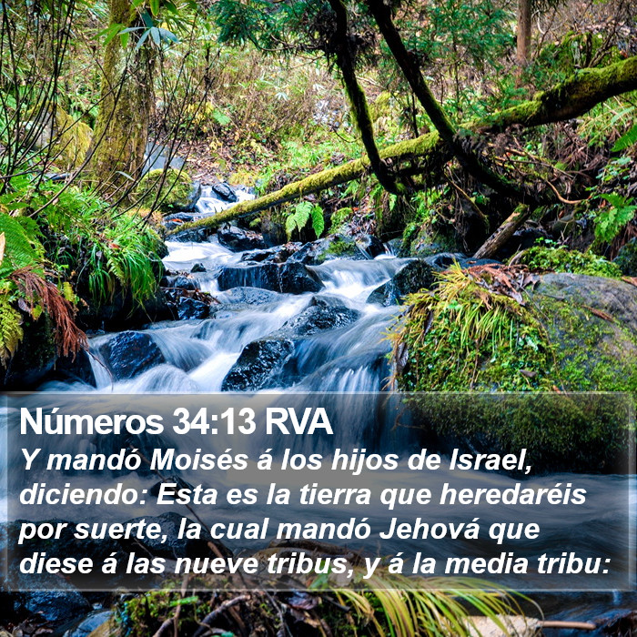 Números 34:13 RVA Bible Study