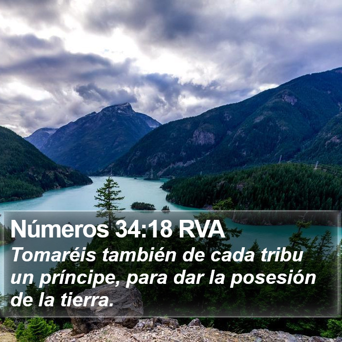 Números 34:18 RVA Bible Study