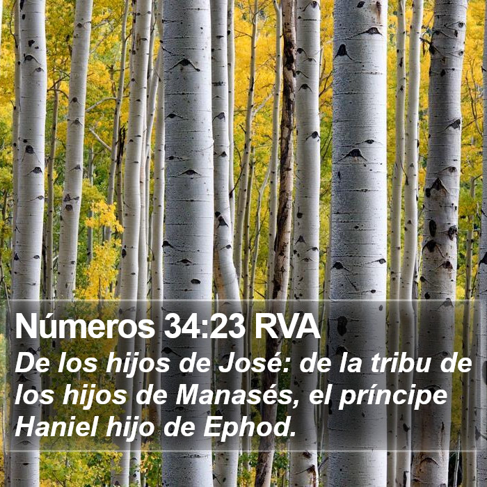 Números 34:23 RVA Bible Study