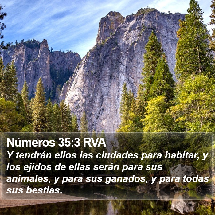 Números 35:3 RVA Bible Study