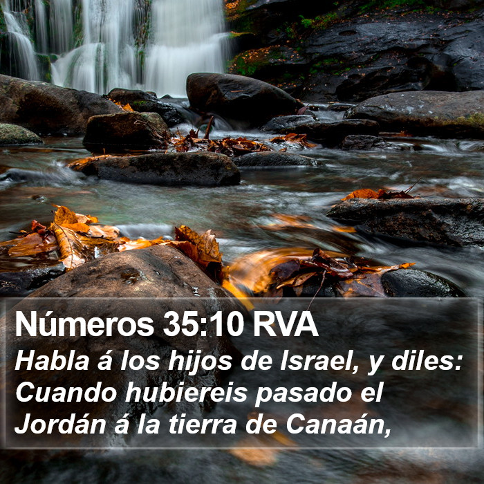 Números 35:10 RVA Bible Study