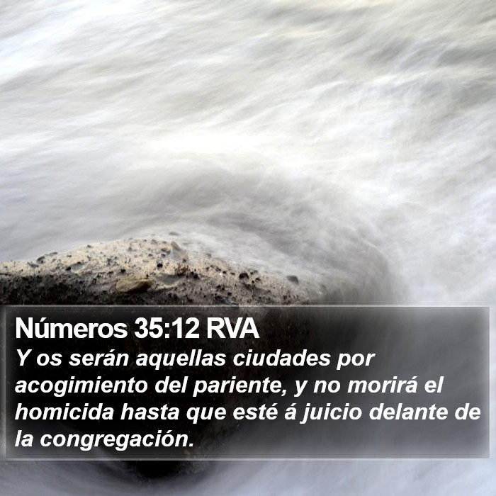 Números 35:12 RVA Bible Study