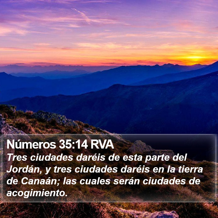 Números 35:14 RVA Bible Study