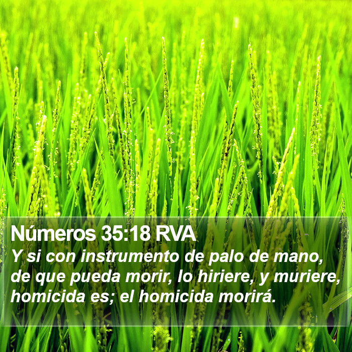 Números 35:18 RVA Bible Study