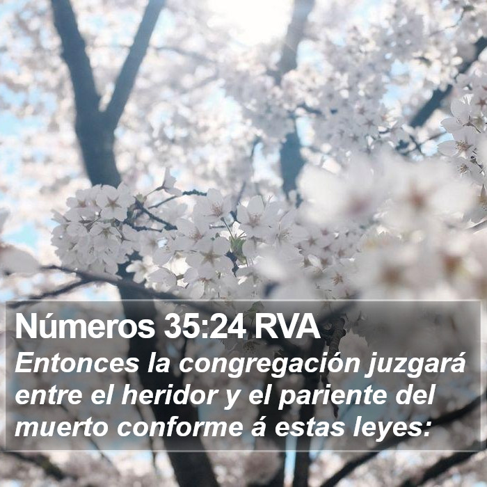 Números 35:24 RVA Bible Study