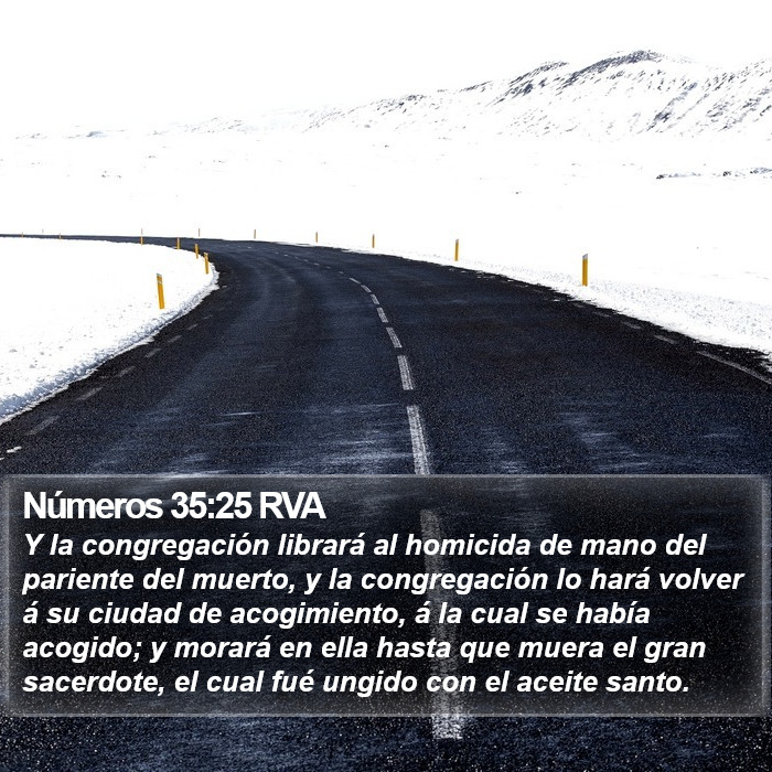 Números 35:25 RVA Bible Study