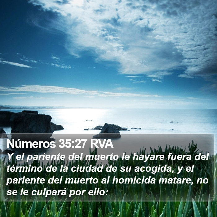 Números 35:27 RVA Bible Study