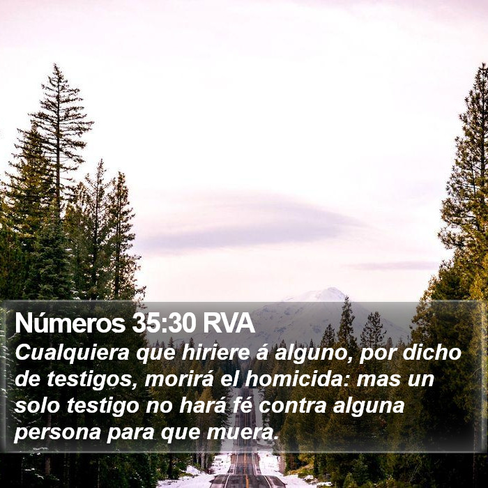 Números 35:30 RVA Bible Study