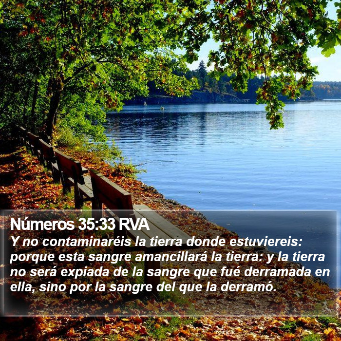 Números 35:33 RVA Bible Study