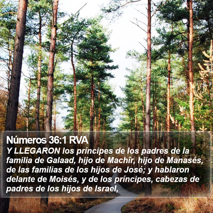 Números 36:1 RVA Bible Study