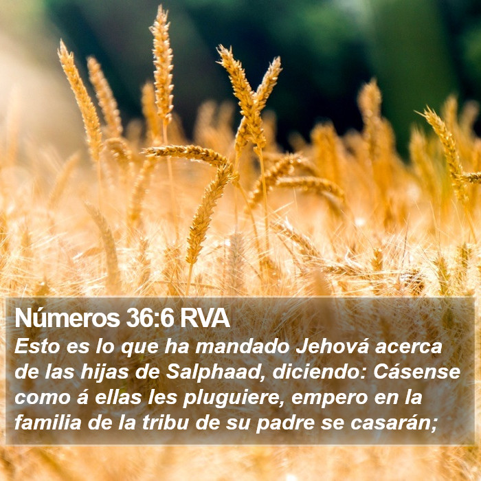 Números 36:6 RVA Bible Study