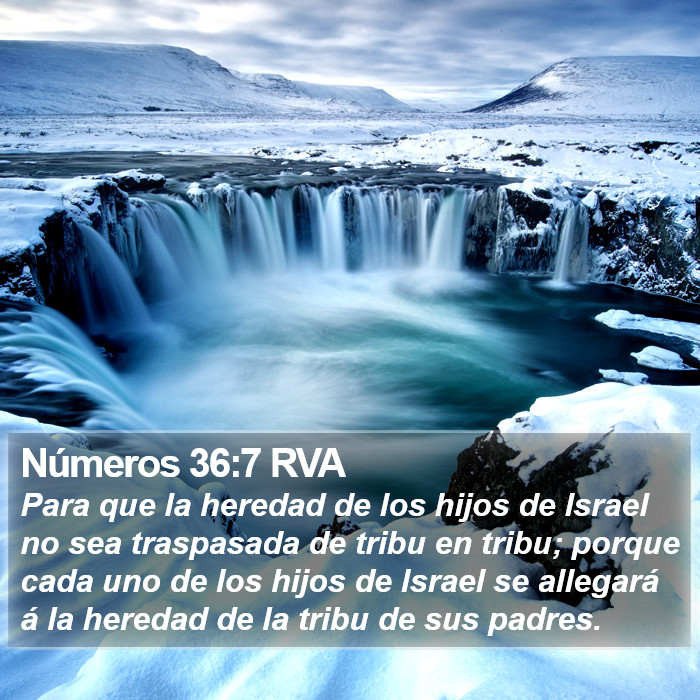 Números 36:7 RVA Bible Study