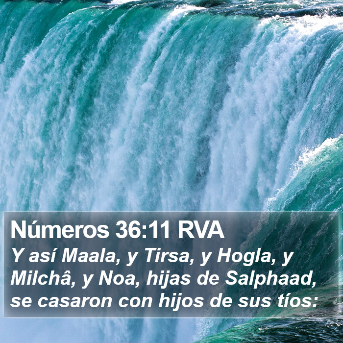 Números 36:11 RVA Bible Study