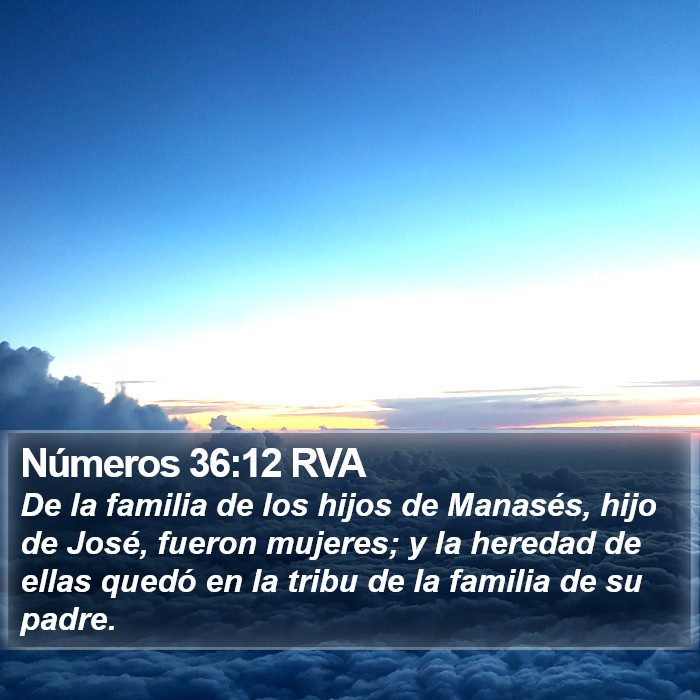 Números 36:12 RVA Bible Study