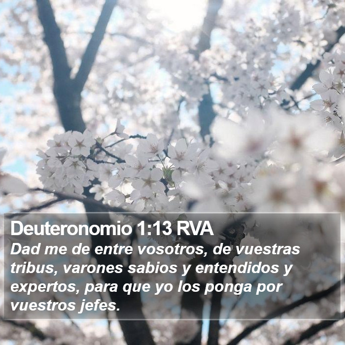 Deuteronomio 1:13 RVA Bible Study