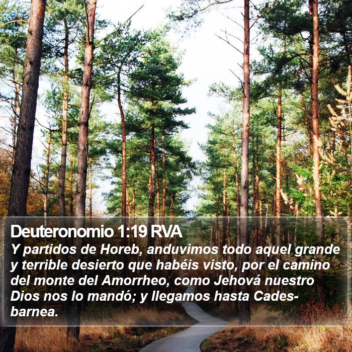 Deuteronomio 1:19 RVA Bible Study