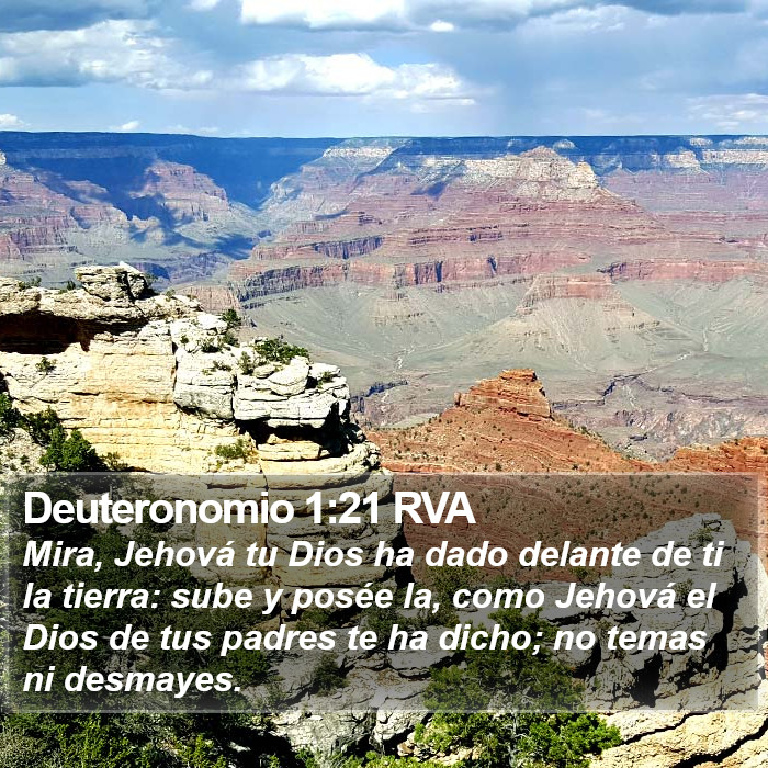 Deuteronomio 1:21 RVA Bible Study