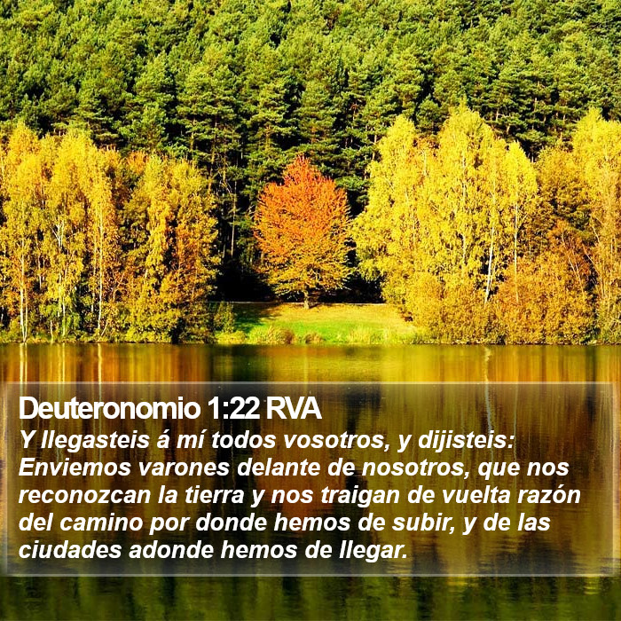 Deuteronomio 1:22 RVA Bible Study