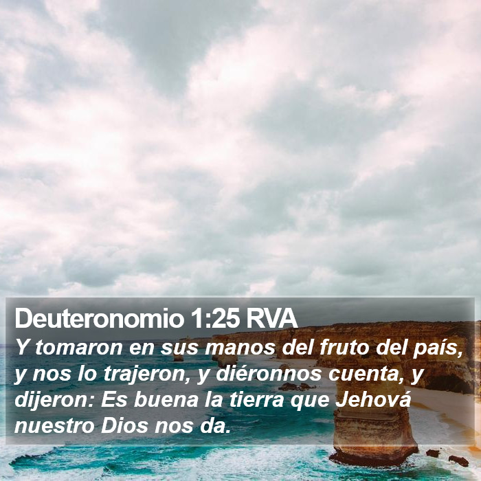 Deuteronomio 1:25 RVA Bible Study