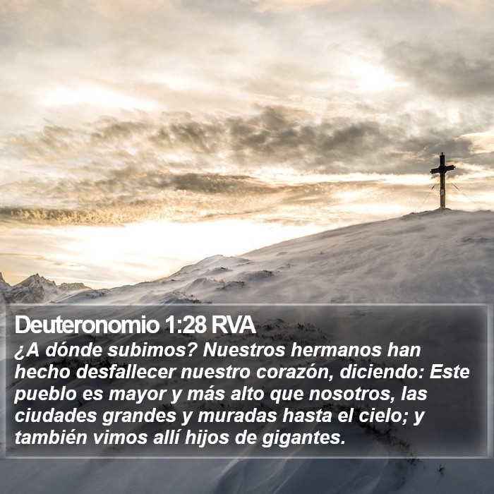 Deuteronomio 1:28 RVA Bible Study