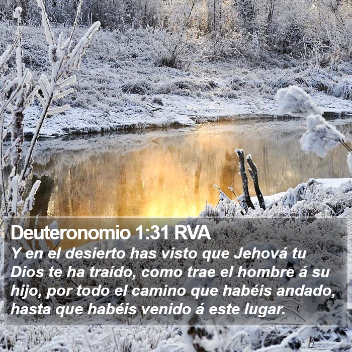 Deuteronomio 1:31 RVA Bible Study