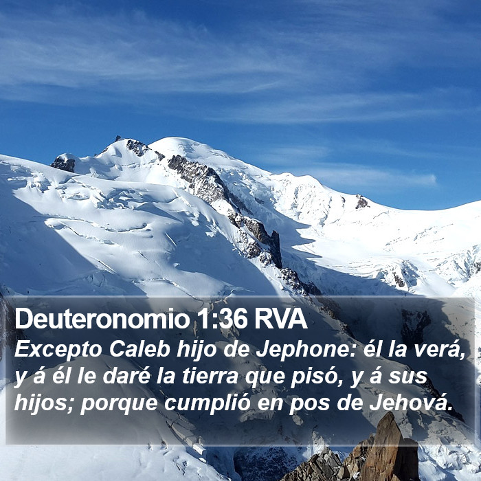 Deuteronomio 1:36 RVA Bible Study