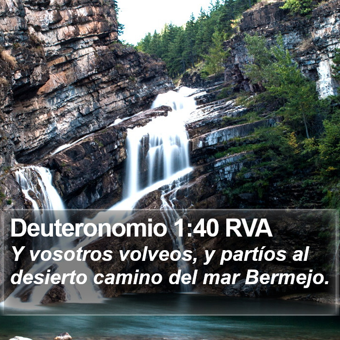 Deuteronomio 1:40 RVA Bible Study