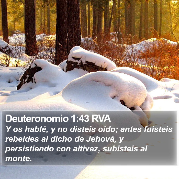 Deuteronomio 1:43 RVA Bible Study