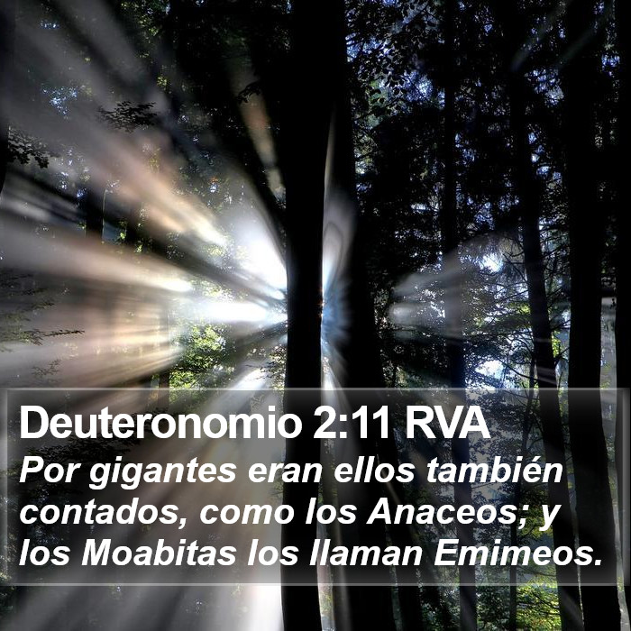 Deuteronomio 2:11 RVA Bible Study