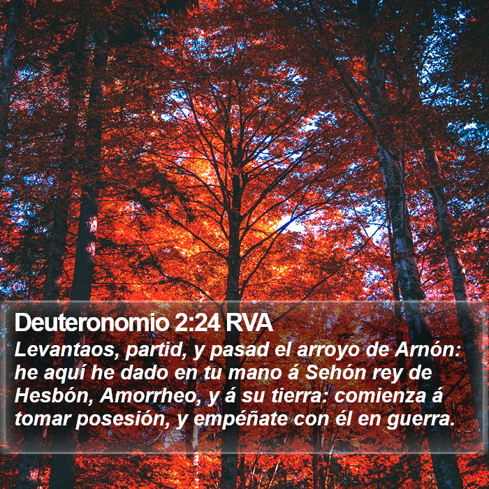 Deuteronomio 2:24 RVA Bible Study