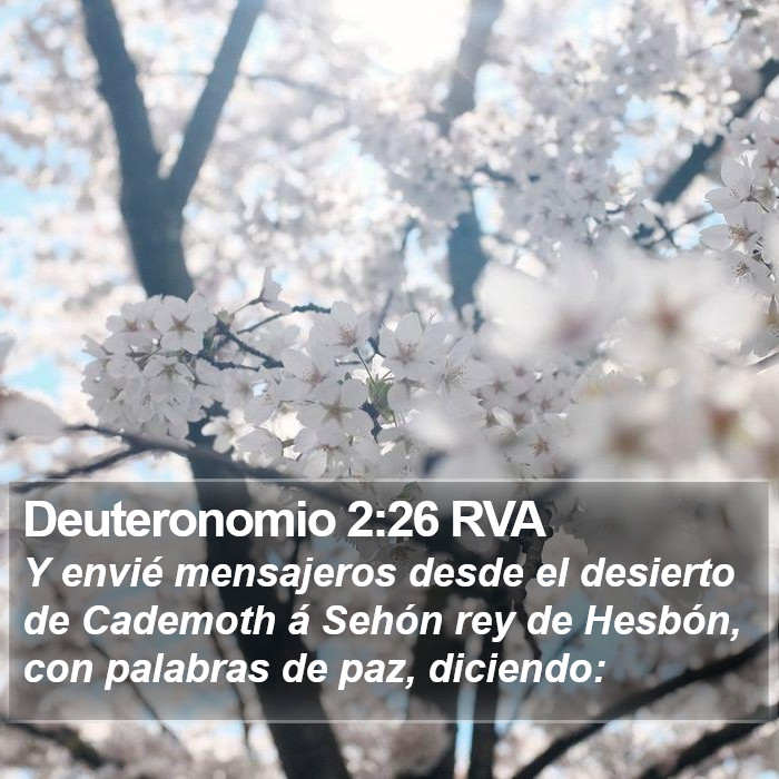 Deuteronomio 2:26 RVA Bible Study