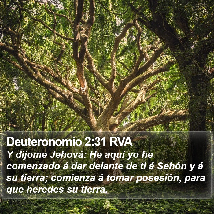 Deuteronomio 2:31 RVA Bible Study