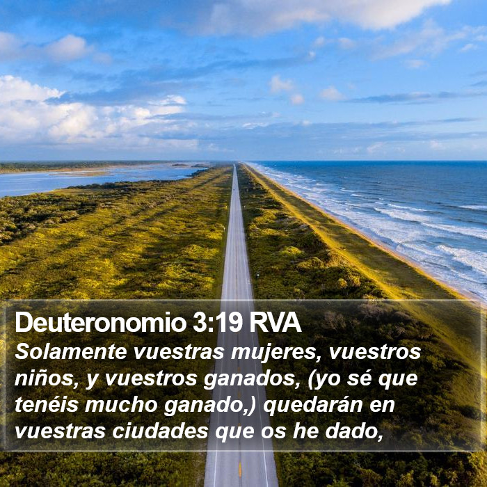 Deuteronomio 3:19 RVA Bible Study