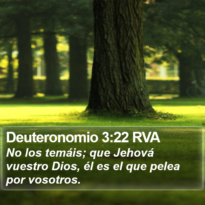 Deuteronomio 3:22 RVA Bible Study