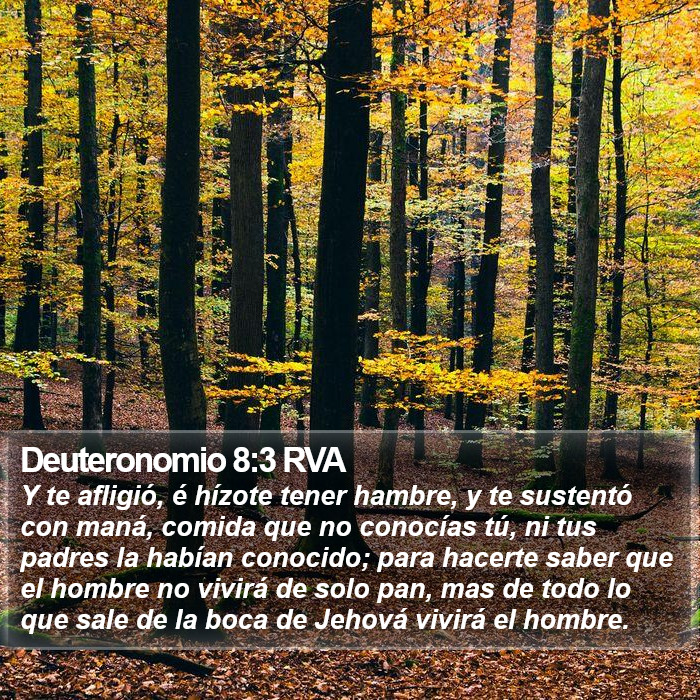 Deuteronomio 8:3 RVA Bible Study