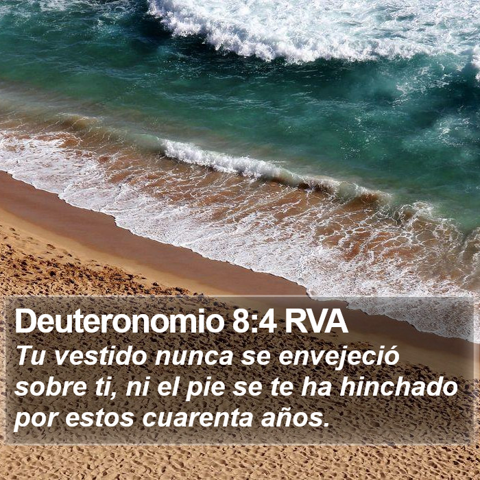 Deuteronomio 8:4 RVA Bible Study