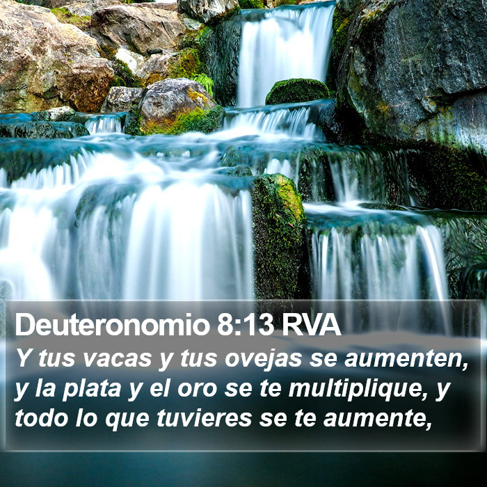 Deuteronomio 8:13 RVA Bible Study