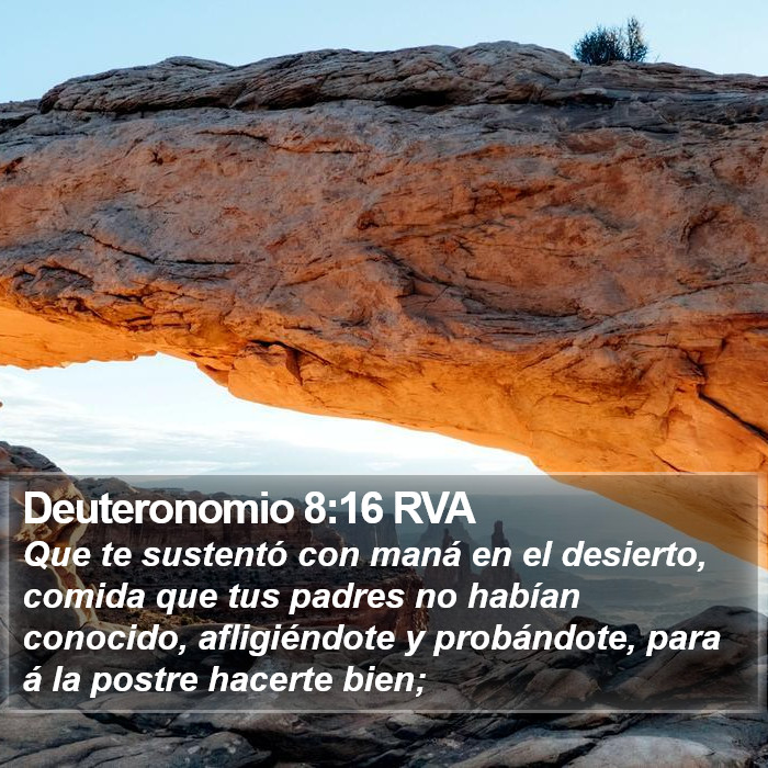 Deuteronomio 8:16 RVA Bible Study