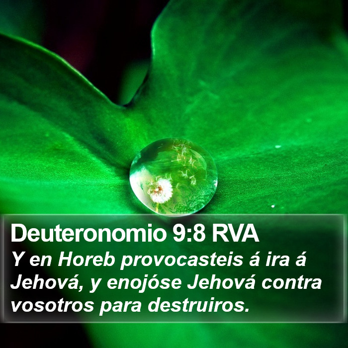 Deuteronomio 9:8 RVA Bible Study