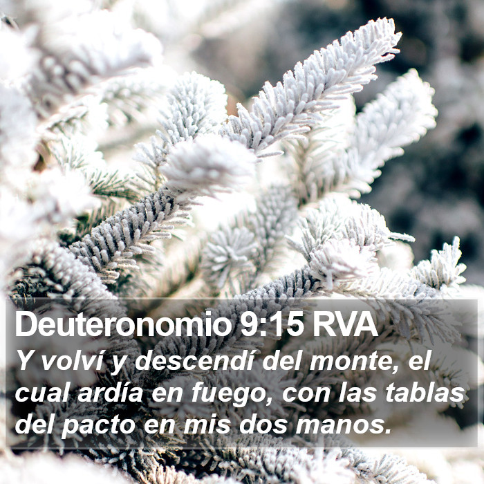 Deuteronomio 9:15 RVA Bible Study