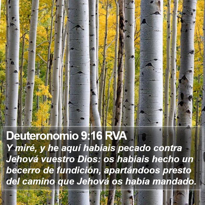 Deuteronomio 9:16 RVA Bible Study