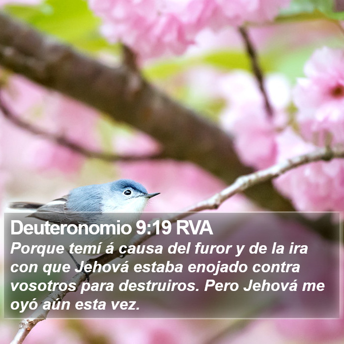 Deuteronomio 9:19 RVA Bible Study