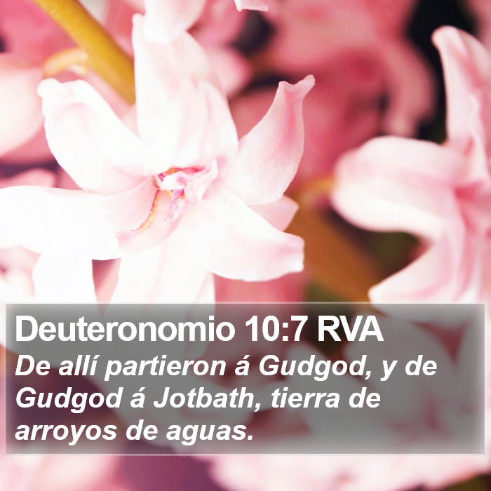 Deuteronomio 10:7 RVA Bible Study