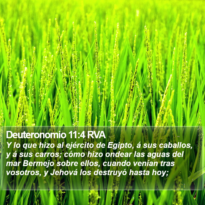 Deuteronomio 11:4 RVA Bible Study