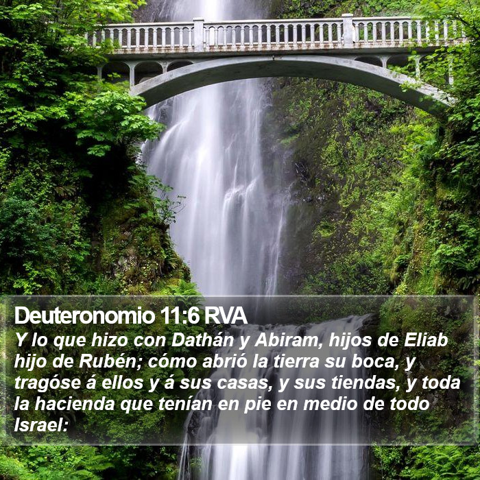 Deuteronomio 11:6 RVA Bible Study